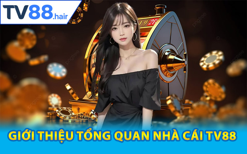 Giới Thiệu TV88 – Sân Chơi Giải Trí Thương Hiệu Toàn Cầu 1 Giới thiệu TV88 thông tin chi tiết