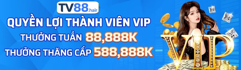 tv88 banner