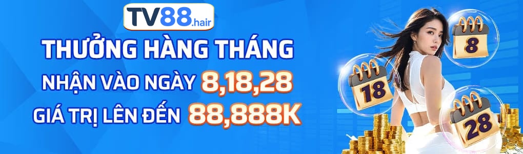 tv88 banner